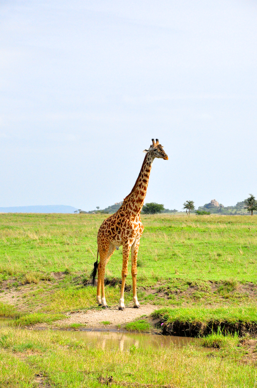 Melanie Heinrich Travel Images Africa